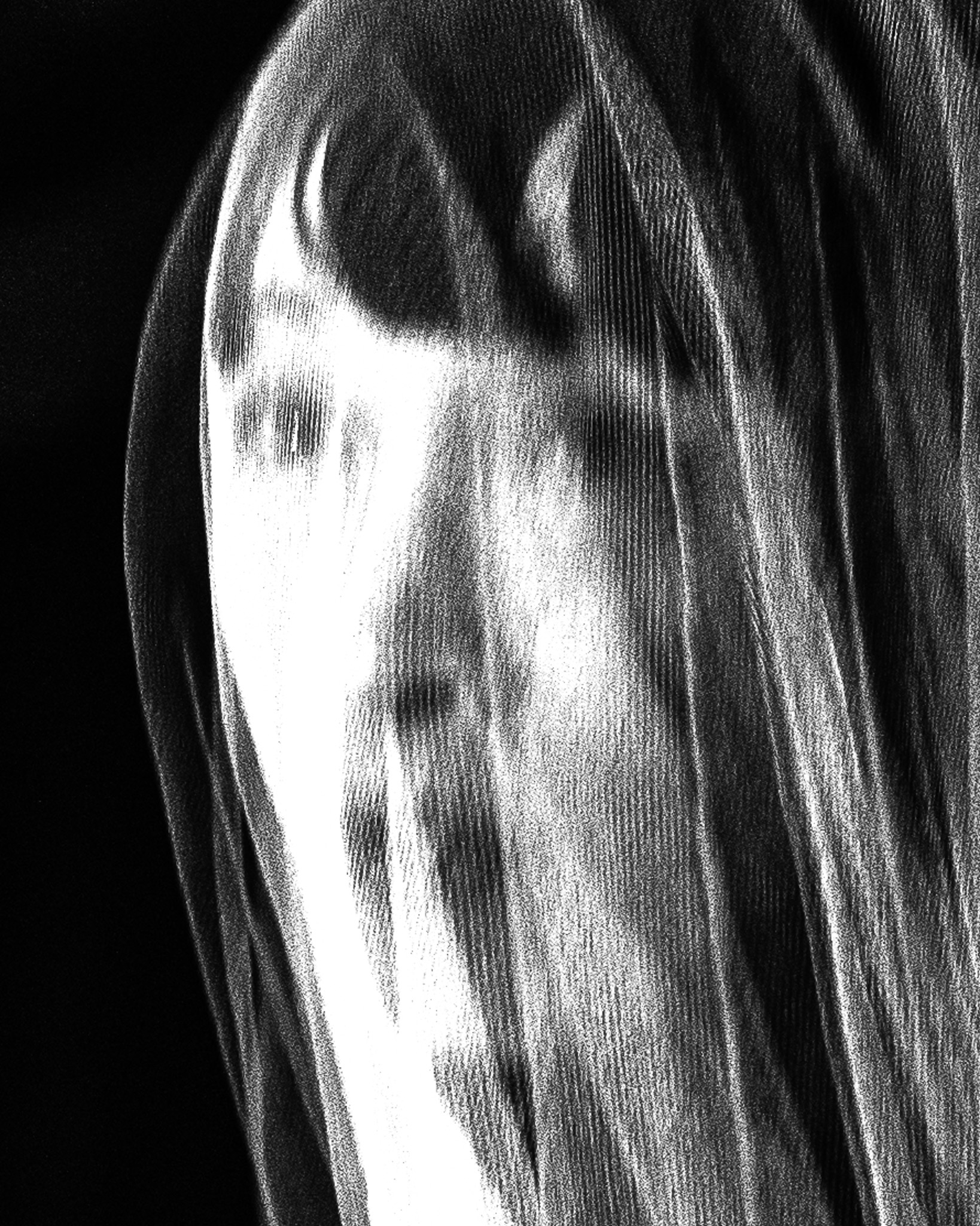 videography, video editing or in general video production